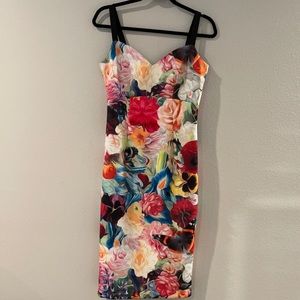 Ted Baker London Floral Midi dress